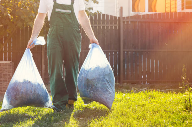 Best Electronics Removal Services  in Blandon, PA
